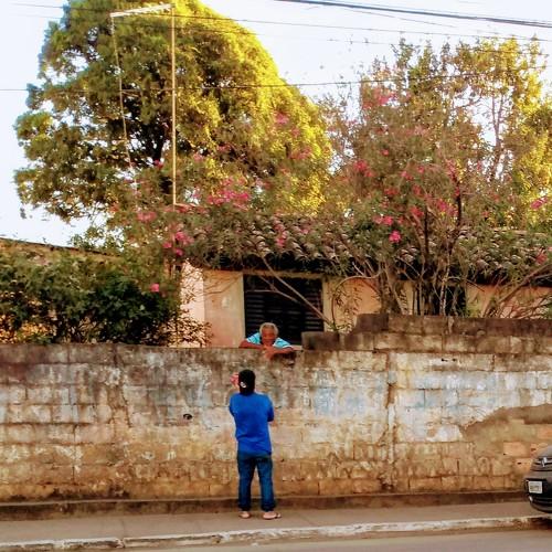 Photo #5509530