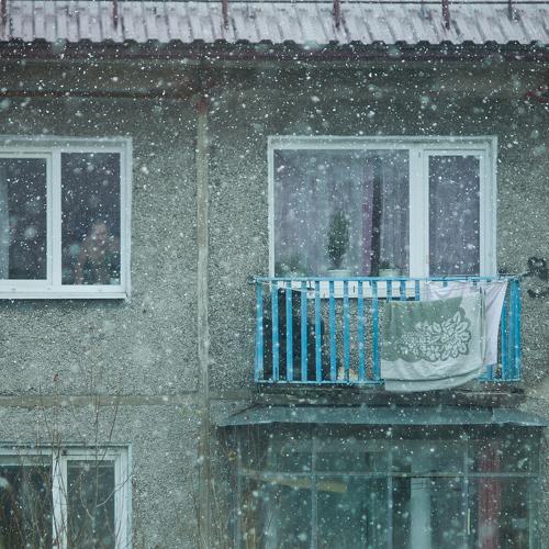 Photo #5510234