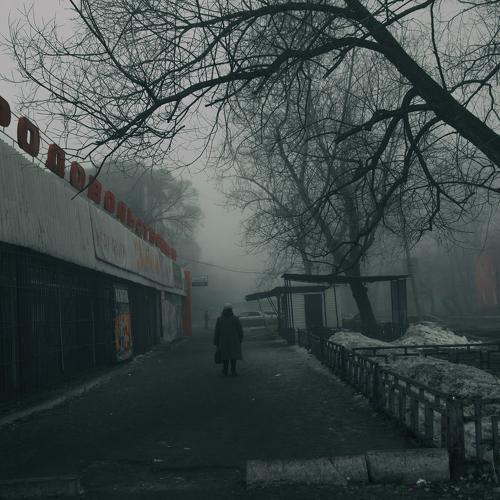 Photo #5510445