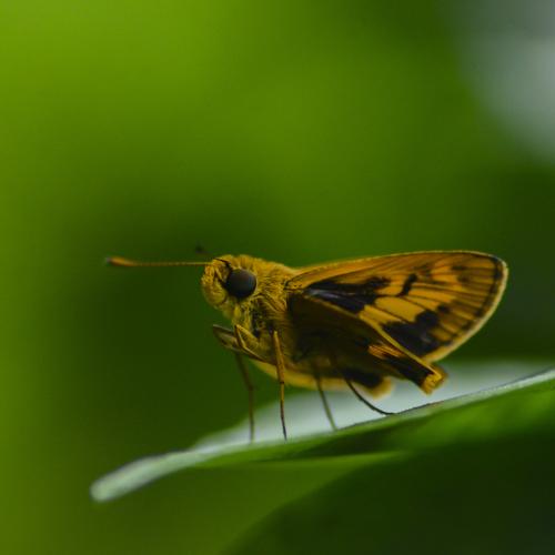 Photo #5510473