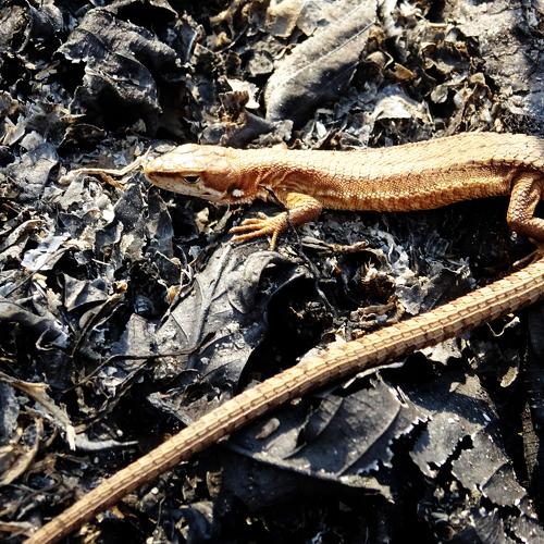 Photo #5510738