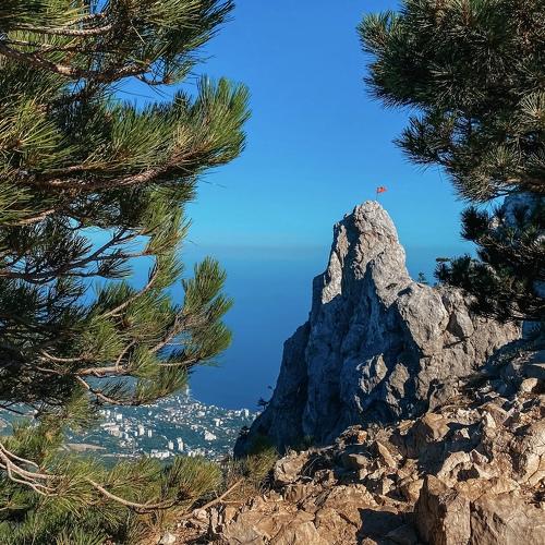 Photo #5511166