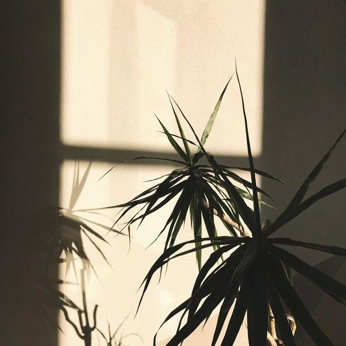 Photo #5512141