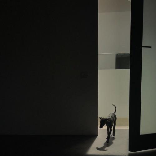 Photo #5512146