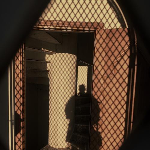 Web  of Shadows