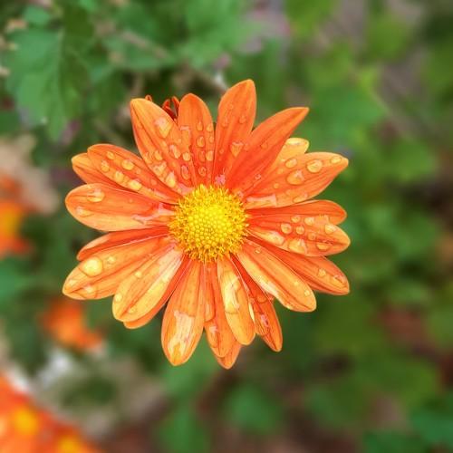 Photo #5512538