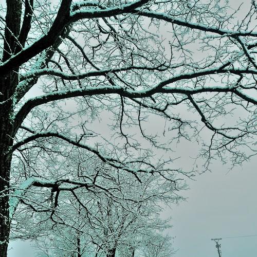 Photo #5512555