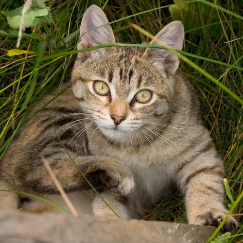 Photo #5512826
