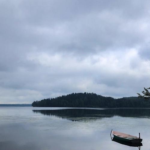 Photo #5513281
