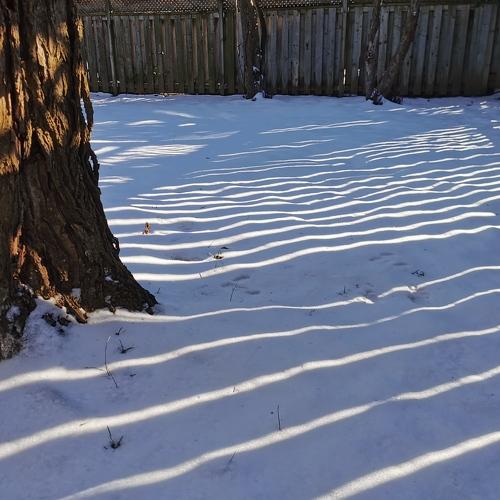 Photo #5513299