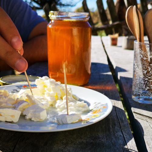 Photo #5513689
