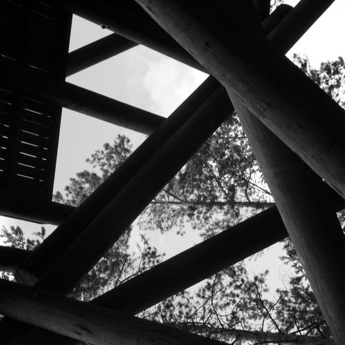 Photo #5514457