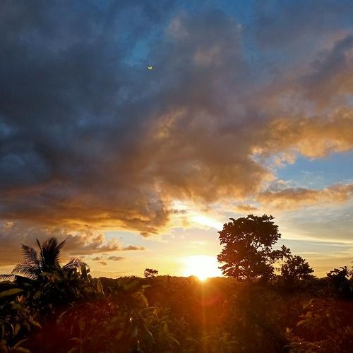 Photo #5514993