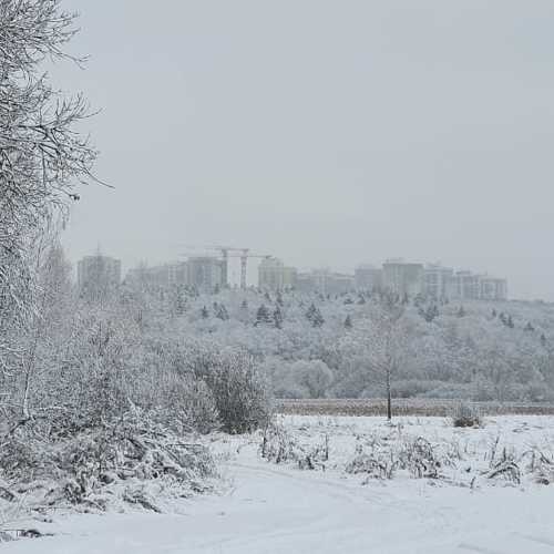 Все белО