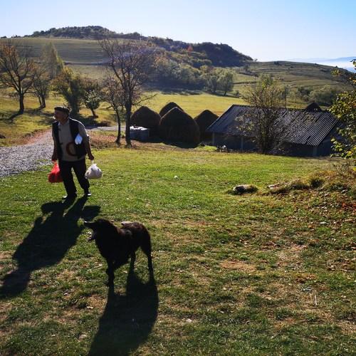Photo #5515274