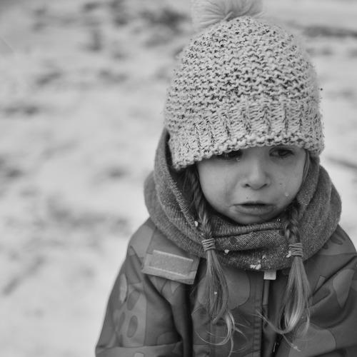 Photo #5515546