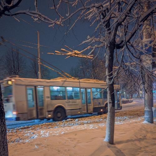 Photo #5515840