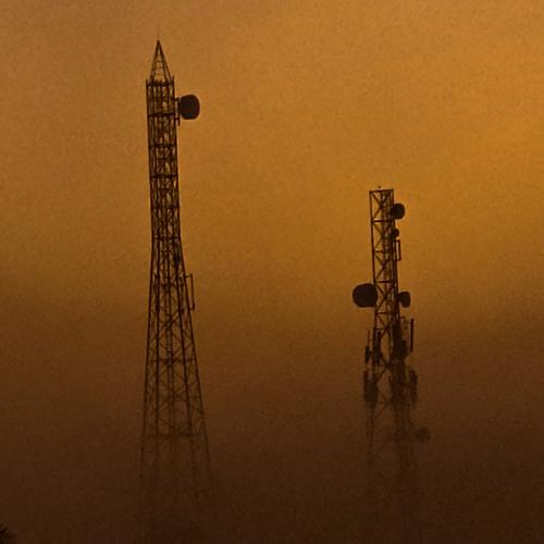Photo #5515998