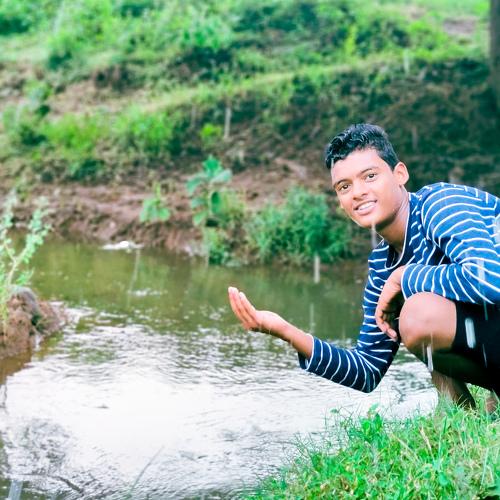 Photo #5515999