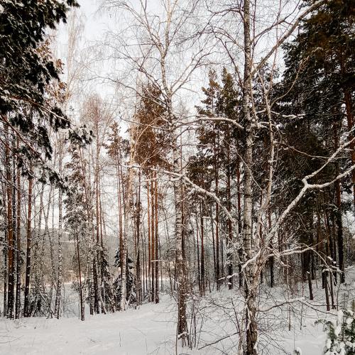 Photo #5516572