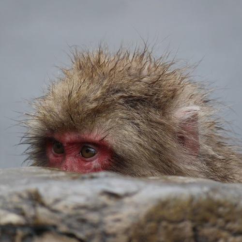 Photo #5517452