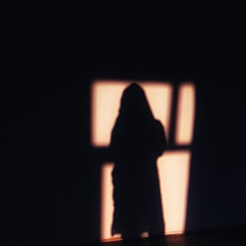 Photo #5518081