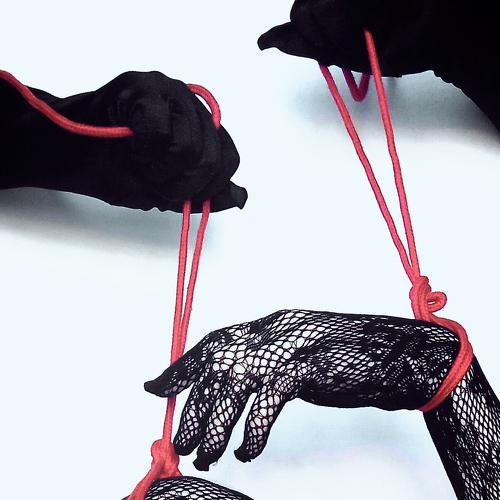 Photo #5518421