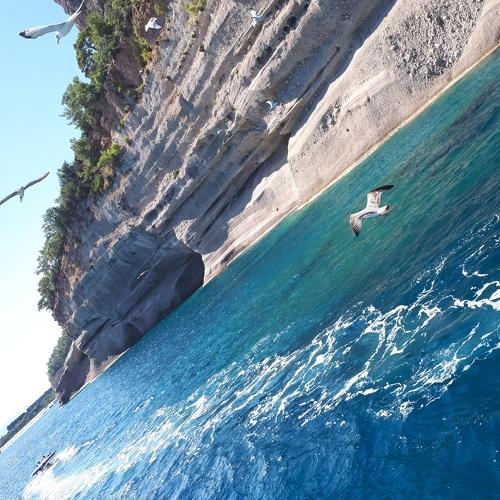 Photo #5518797