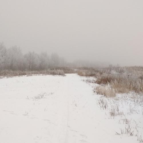 Зимний день