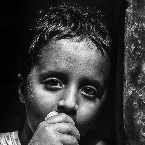 Photo #5519540