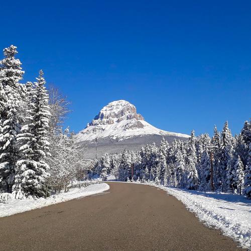 Photo #5519624