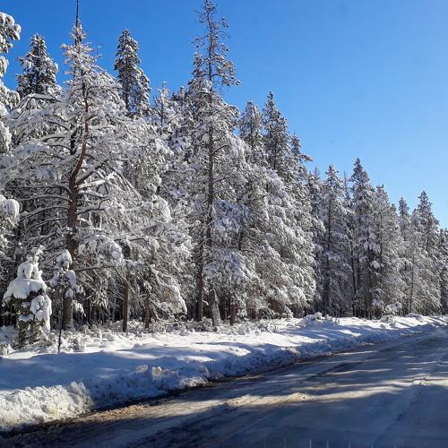 Photo #5519626