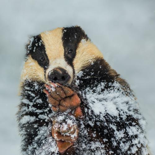 Photo #5519683