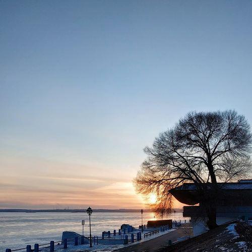 Photo #5519766