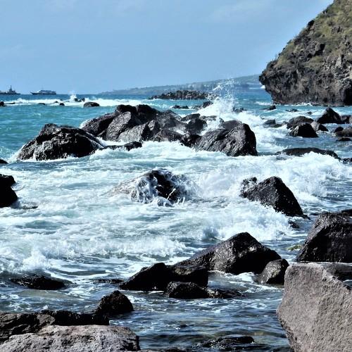 Photo #5520010