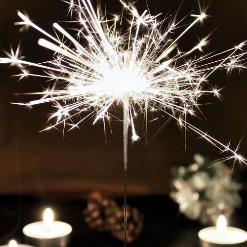 Photo #5520200