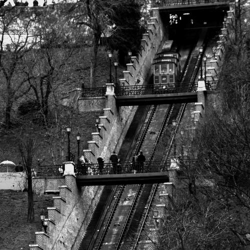 Photo #5520457