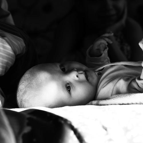 Photo #5520471