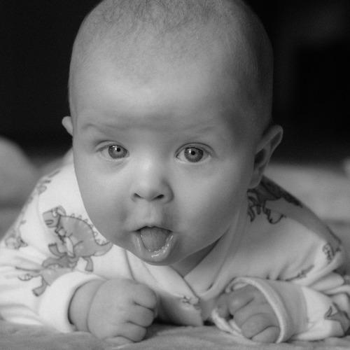Photo #5520474
