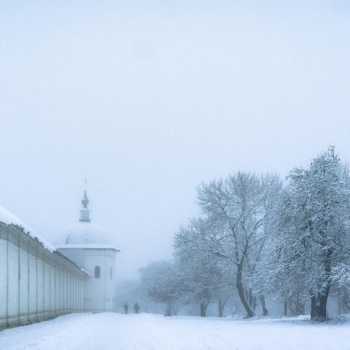 Photo #5520741