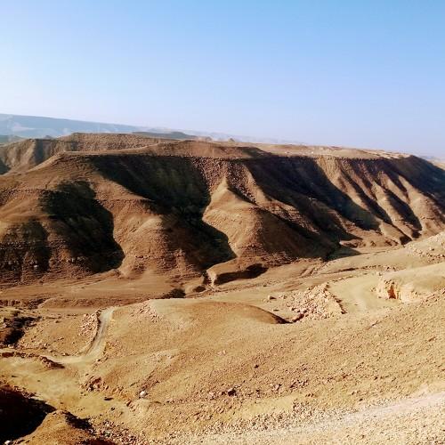Photo #5520781