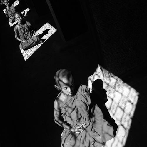 Sons of the Buddha