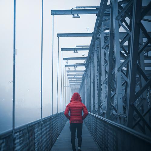 Photo #5522063