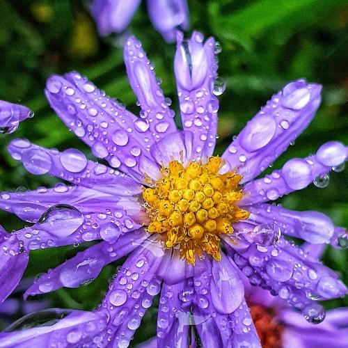 Photo #5522218