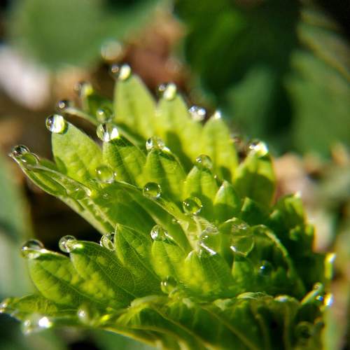 Photo #5522293