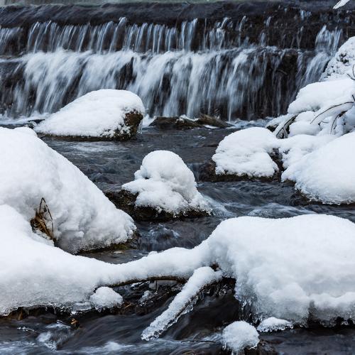 Photo #5522321