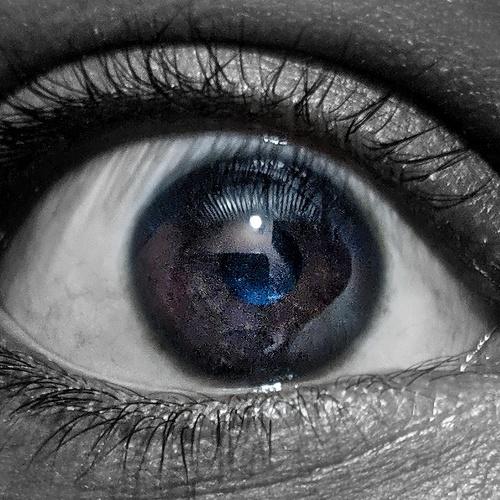 Photo #5522463