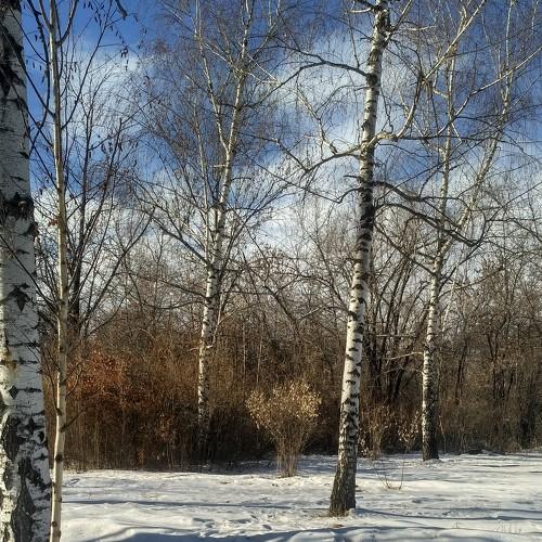 Photo #5522564