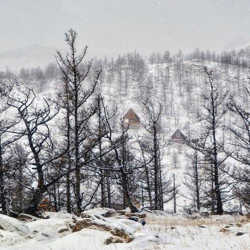 Photo #5522782