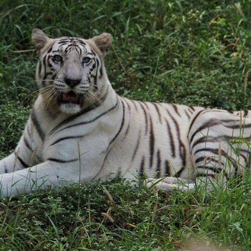 Photo #5523136